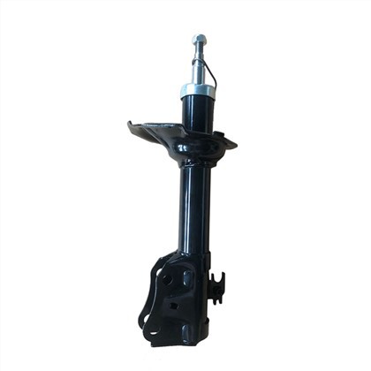 B2220 Amortizator